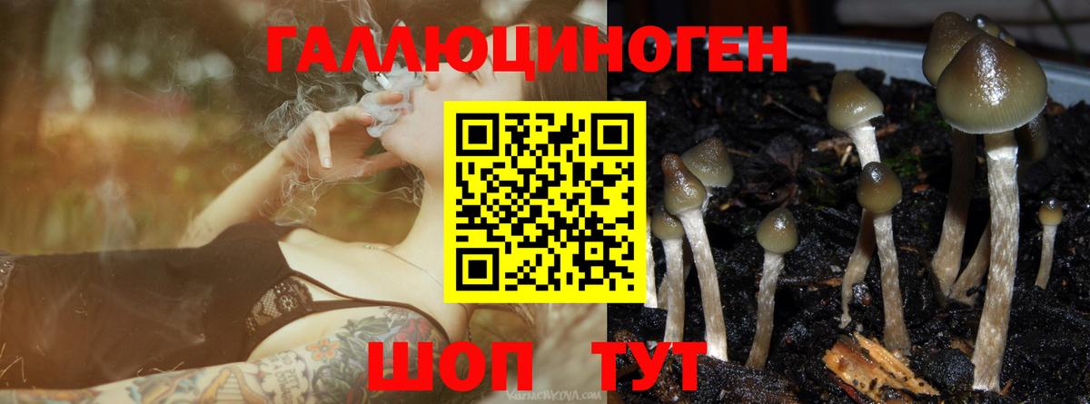 Гуково  Галлюциногенные грибы прущие грибы  Галлюциногенные грибы Cubensis  Вход с VPN 